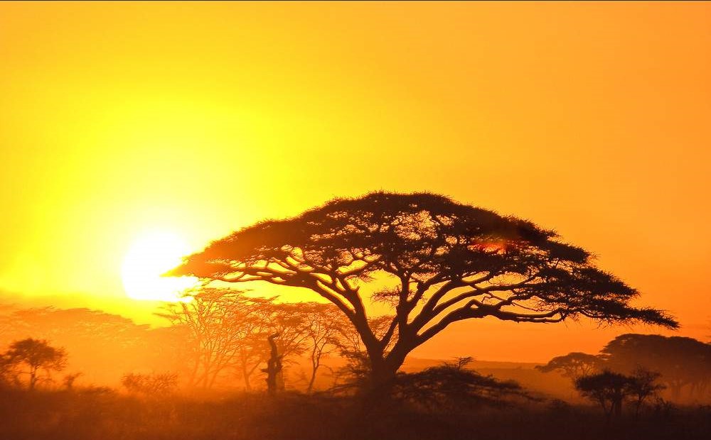 Serengeti_National_Park_050-1 Serengeti_National_Park_050-1