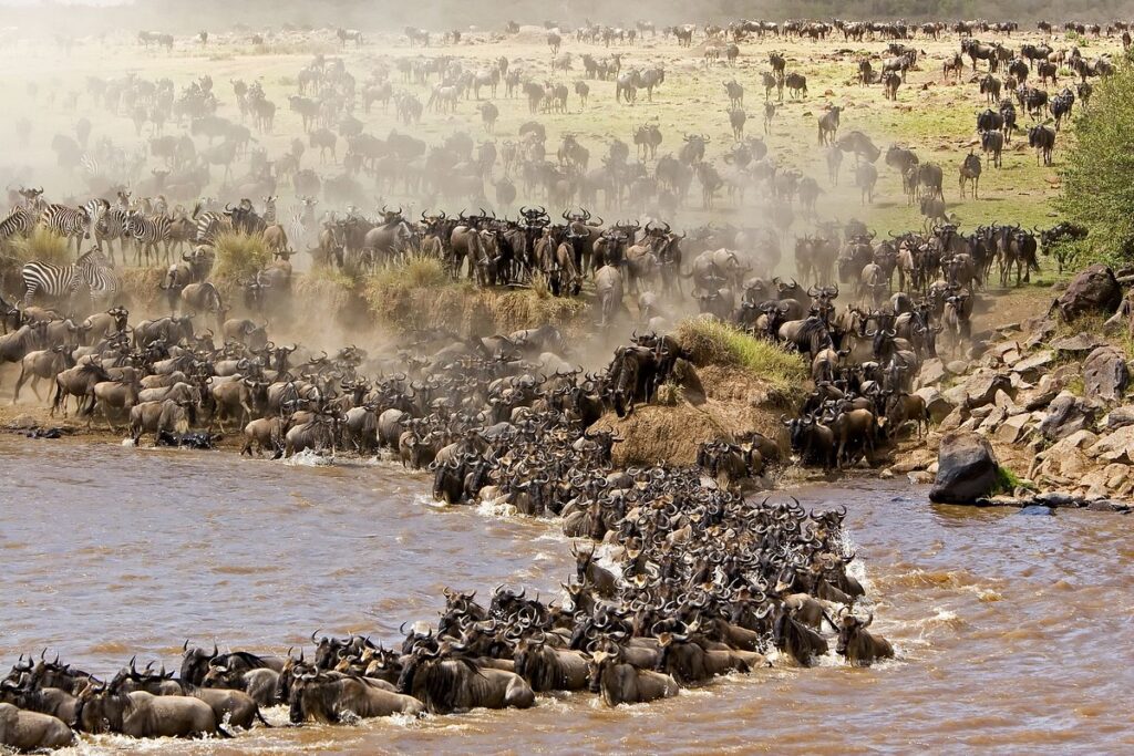 2 Nights Masai Mara Safari Adventure