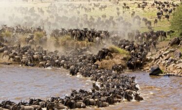 2 Nights Masai Mara Safari Adventure